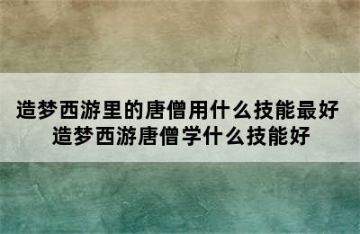 造梦西游里的唐僧用什么技能最好 造梦西游唐僧学什么技能好